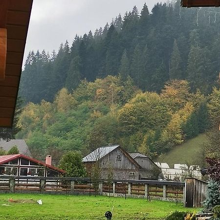 Casa De Poveste Sucevita Eksteriør billede